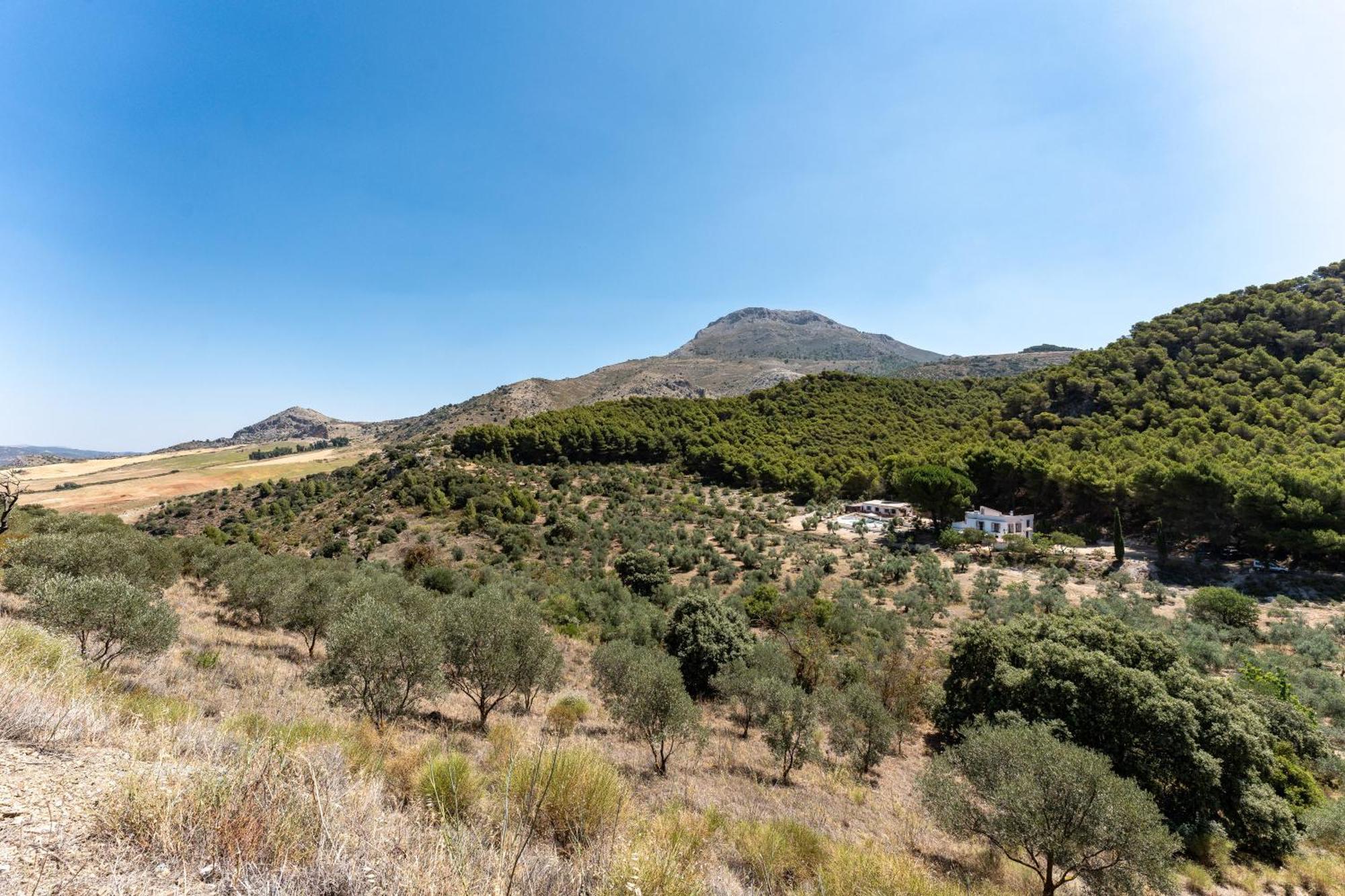 Cortijo La Zahurdilla Yunquera Buitenkant foto